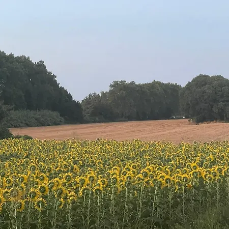 De Plantery * Uzès